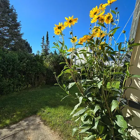 Vier Jahreszeiten 5-2 Großenbrode